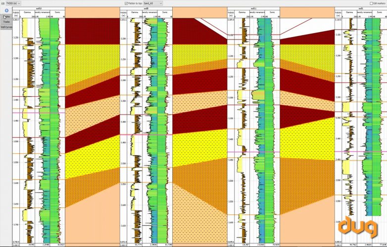 Well Correlation in DUG Insight