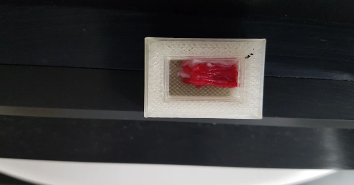 Well done: Japanese researchers serve 3D printed Wagyu beef.