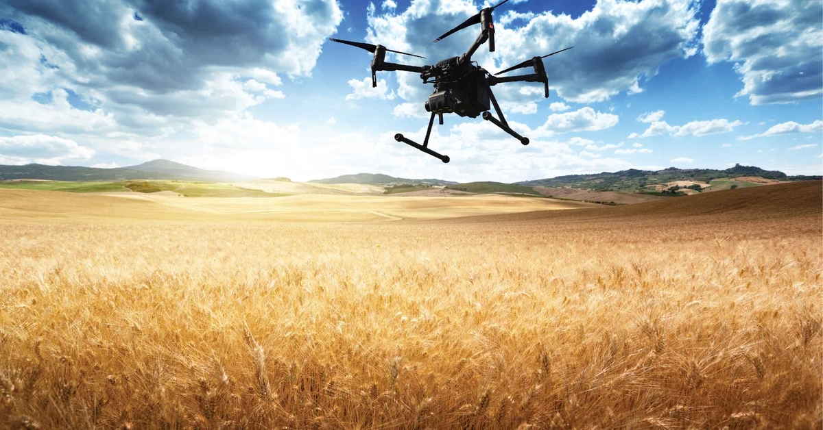 Smarter wheat-monitoring with artificial intelligence