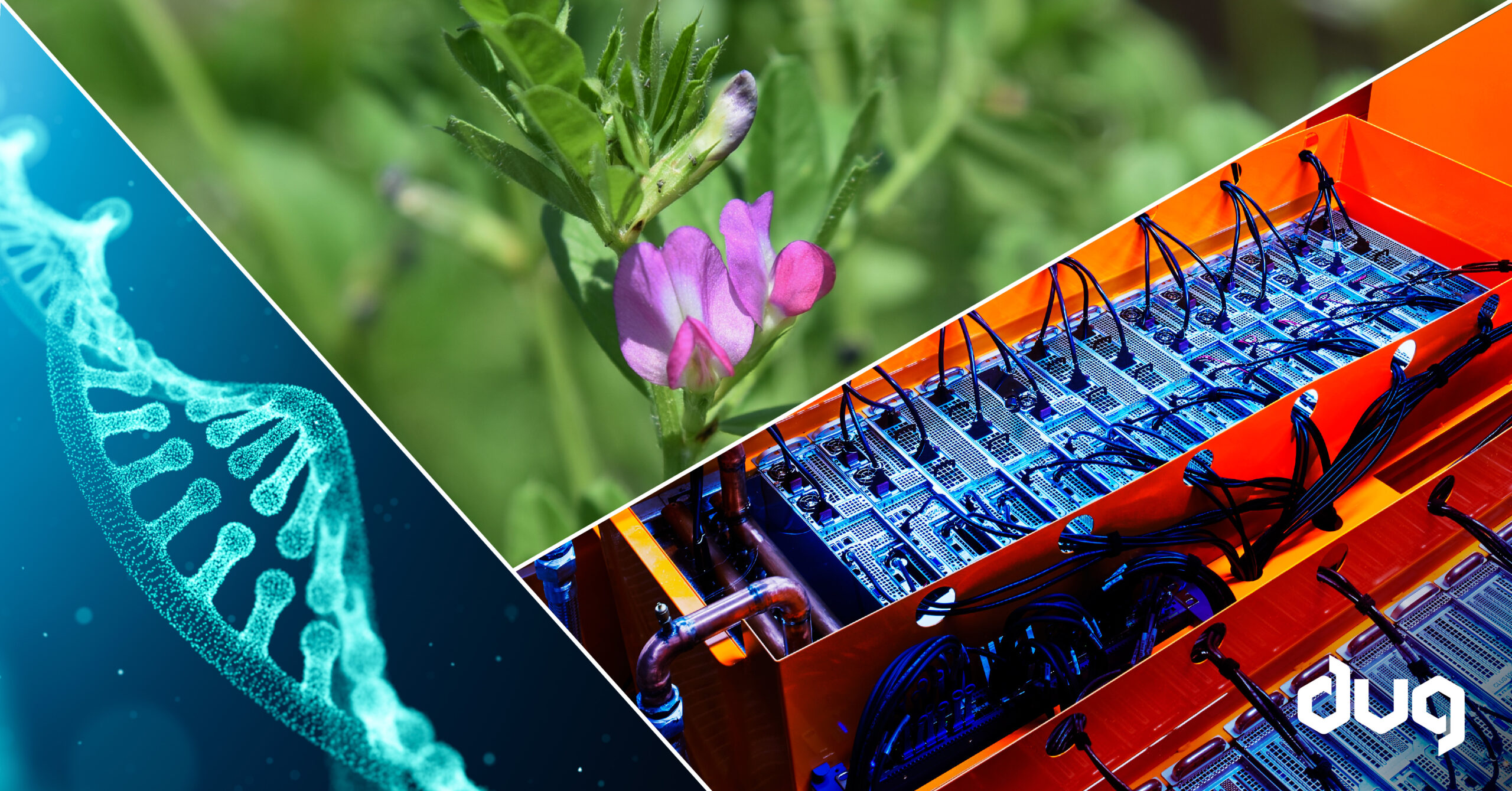 Super food from supercomputers